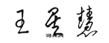 駱恆光王星慧草書個性簽名怎么寫