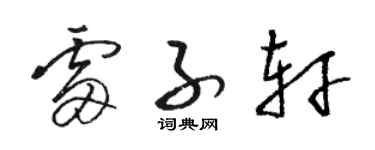 駱恆光雷子軒草書個性簽名怎么寫
