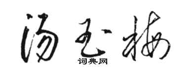 駱恆光湯玉梅草書個性簽名怎么寫
