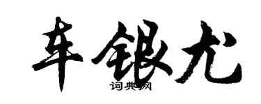 胡問遂車銀尤行書個性簽名怎么寫