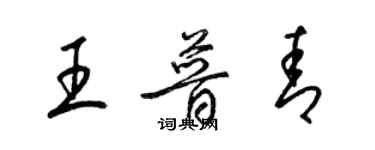 梁錦英王普青草書個性簽名怎么寫