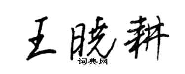 王正良王曉耕行書個性簽名怎么寫
