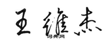 駱恆光王維傑行書個性簽名怎么寫