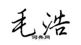 王正良毛浩行書個性簽名怎么寫