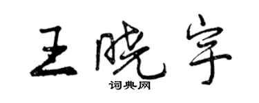 曾慶福王曉宇行書個性簽名怎么寫