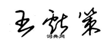 朱錫榮王獻策草書個性簽名怎么寫