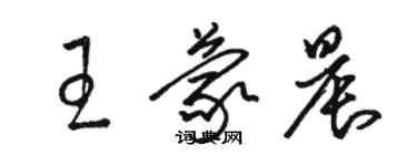 駱恆光王蒙晨草書個性簽名怎么寫