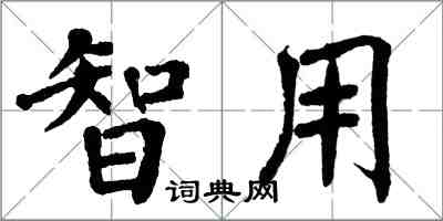 翁闓運智用楷書怎么寫