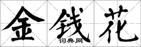 翁闓運金錢花楷書怎么寫