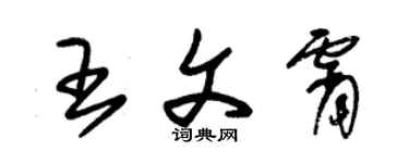 朱錫榮王文霄草書個性簽名怎么寫
