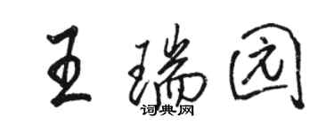 駱恆光王瑞園行書個性簽名怎么寫