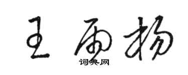 駱恆光王雨楊草書個性簽名怎么寫