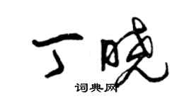 曾慶福丁曉草書個性簽名怎么寫