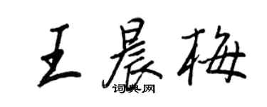 王正良王晨梅行書個性簽名怎么寫
