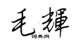 王正良毛輝行書個性簽名怎么寫
