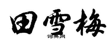 胡問遂田雪梅行書個性簽名怎么寫