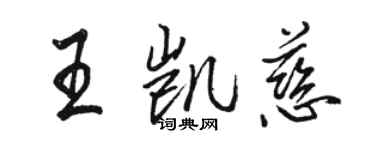 駱恆光王凱慈行書個性簽名怎么寫