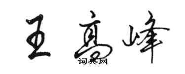 駱恆光王高峰行書個性簽名怎么寫