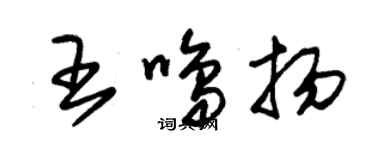 朱錫榮王鳴揚草書個性簽名怎么寫