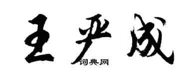 胡問遂王嚴成行書個性簽名怎么寫