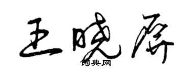 曾慶福王曉屏草書個性簽名怎么寫