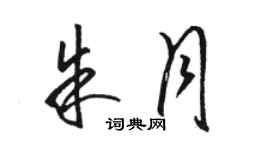 駱恆光朱月草書個性簽名怎么寫