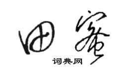 駱恆光田蜜草書個性簽名怎么寫