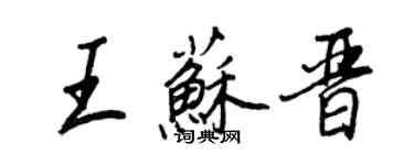 王正良王蘇晉行書個性簽名怎么寫