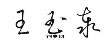 駱恆光王玉泰草書個性簽名怎么寫