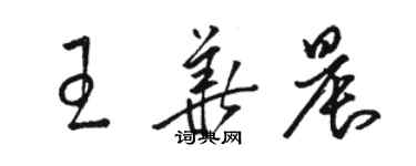 駱恆光王華晨草書個性簽名怎么寫