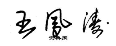 朱錫榮王鳳濤草書個性簽名怎么寫