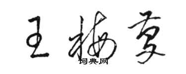 駱恆光王梅慶草書個性簽名怎么寫