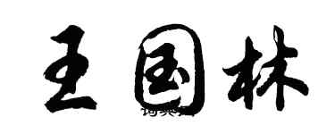 胡問遂王國林行書個性簽名怎么寫