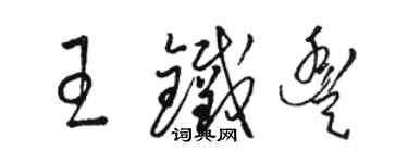 駱恆光王鐵豐草書個性簽名怎么寫