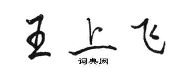 駱恆光王上飛行書個性簽名怎么寫