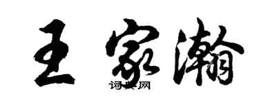 胡問遂王家瀚行書個性簽名怎么寫