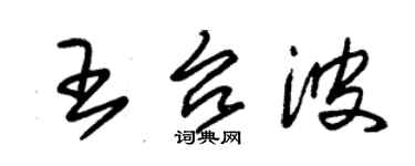 朱錫榮王台波草書個性簽名怎么寫