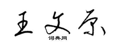 梁錦英王文原草書個性簽名怎么寫