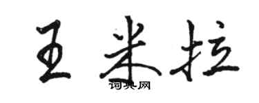 駱恆光王米拉行書個性簽名怎么寫