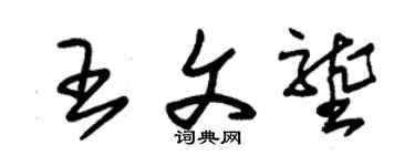 朱錫榮王文壟草書個性簽名怎么寫