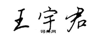 王正良王宇君行書個性簽名怎么寫