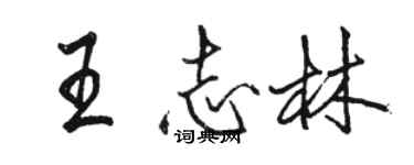 駱恆光王志林行書個性簽名怎么寫