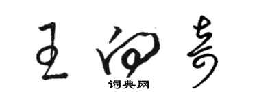 駱恆光王向奇草書個性簽名怎么寫