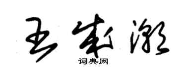 朱錫榮王成潮草書個性簽名怎么寫