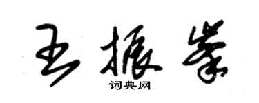 朱錫榮王振峰草書個性簽名怎么寫