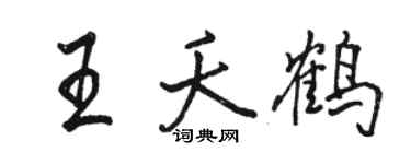 駱恆光王夭鶴行書個性簽名怎么寫
