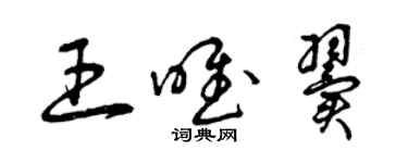 曾慶福王唯翼草書個性簽名怎么寫