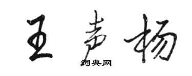 駱恆光王聲楊行書個性簽名怎么寫