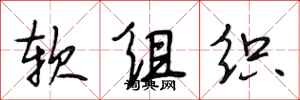 段相林軟組織行書怎么寫