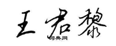 王正良王君黎行書個性簽名怎么寫